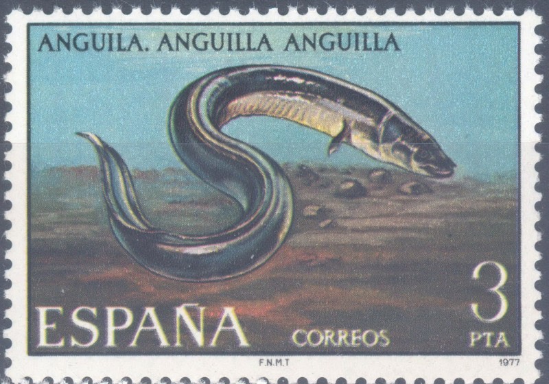 ESPAÑA 1977_2405 Fauna Hispánica. Peces continentales españoles. Scott 2033