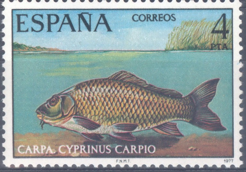 ESPAÑA 1977_2406 Fauna Hispánica. Peces continentales españoles. Scott 2034