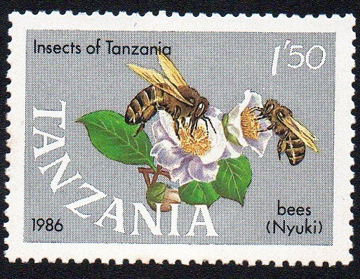 Abejas