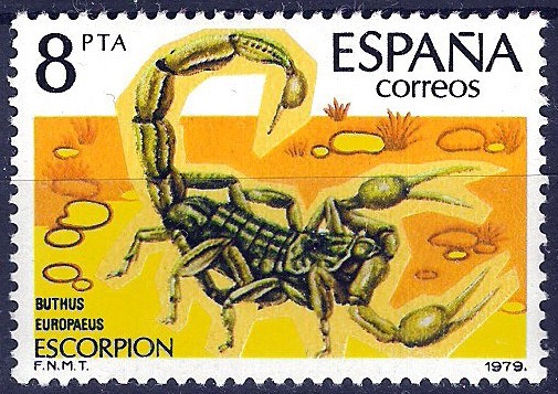 253 Fauna. Invertebrados. Escorpión.