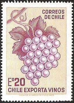 CHILE EXPORTA VINO