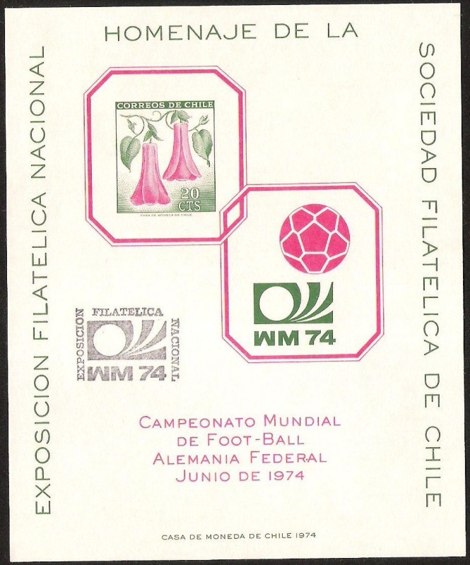 CAMPEONATO MUNDIAL DE FOOT - BALL ALEMANIA FEDERAL JUNIO 1974