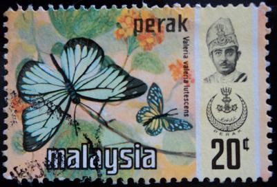 Estado de Perak / Mariposa Monarca