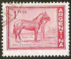 CABALLO CRIOLLO