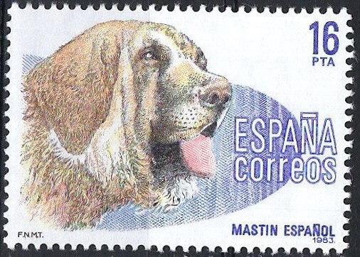 2712 Perros de Raza española, Mastín español.