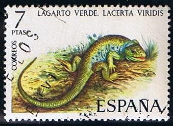 2195  Lagarto Verde