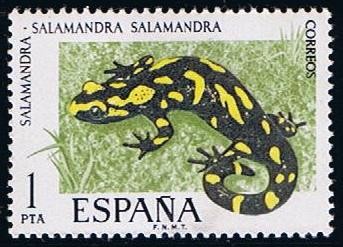 2272  Salamandra