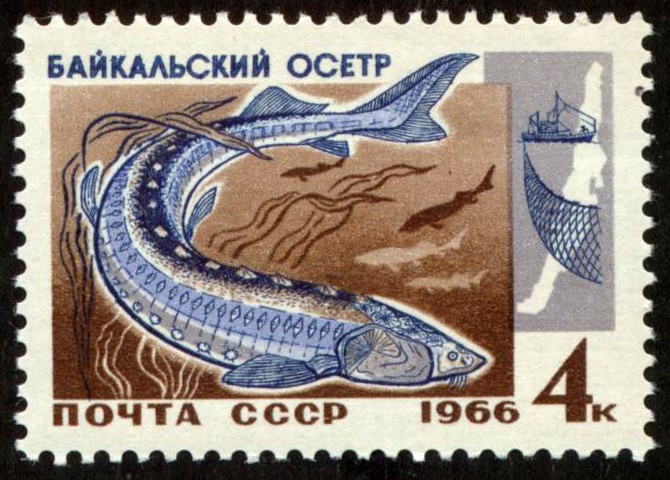 RUSIA - Lago Baikal