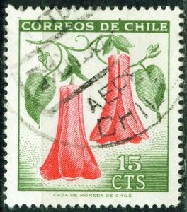 Copihue