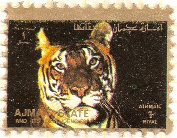 AJMAN - Tigre de Bengala