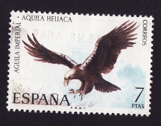 Aguila Imperial