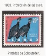 Protección de las Aves