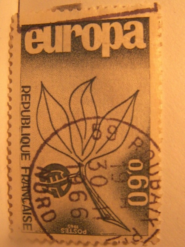 C E P T europa