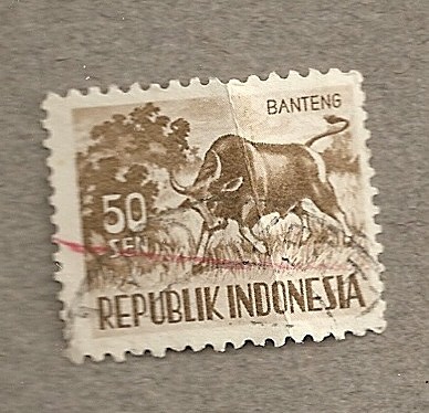 Banteng