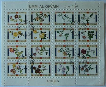 Umm Al Qiwain / Roses