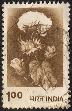 Flora