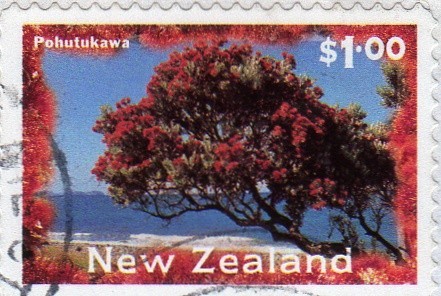 POHUTUKAWA