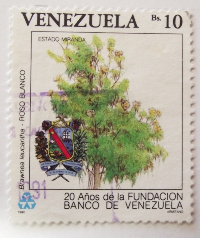 20  años de la Fundación Banco de Venezuela