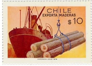 Chile Exporta Madera