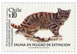 Fauna en Peligro de Extincion