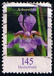 Scott  2321  Schwertille Iris