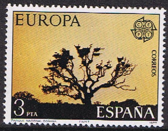 EUROPA 1977