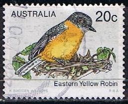 Eastern Yellow Robin