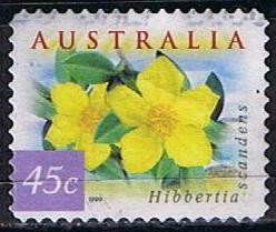 Hibbertia Scandens