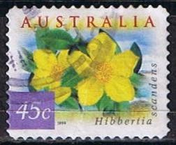 Hibbertia Scandens (7)