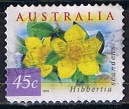 Hibbertia Scandens (8)