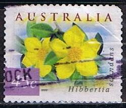 Hibbertia Scandens (10)