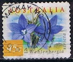 Wahlenbergia Stricta (10)