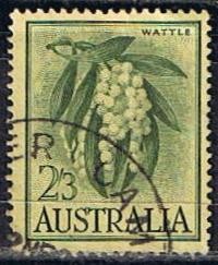 Wattle (3)