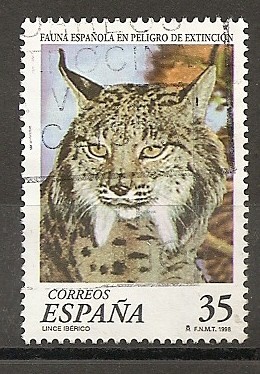 Fauna Española en peligro de extinción. LINCE IBERICO.