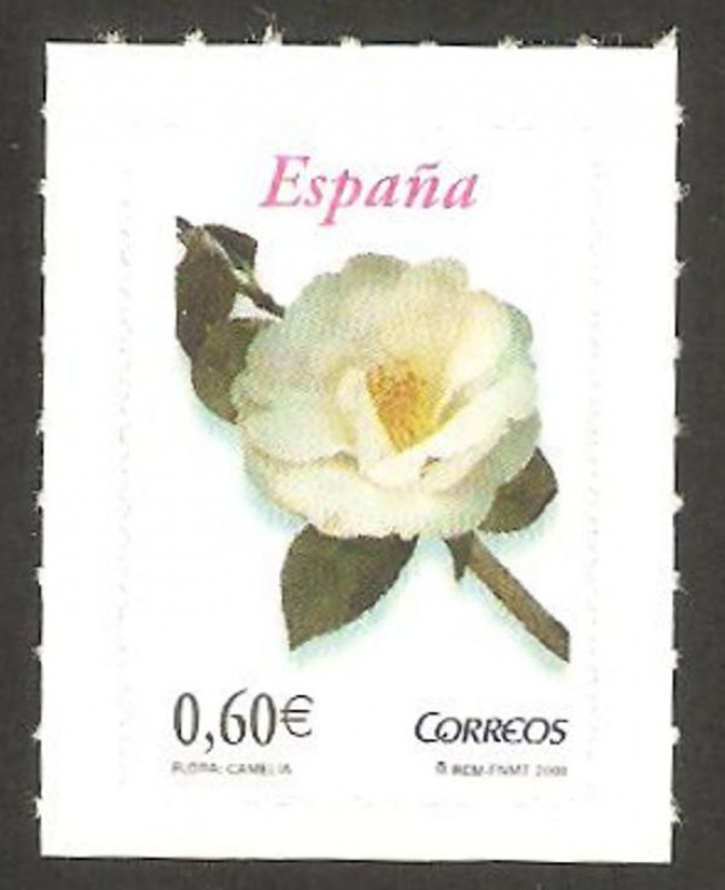 4382 - flor una camelia