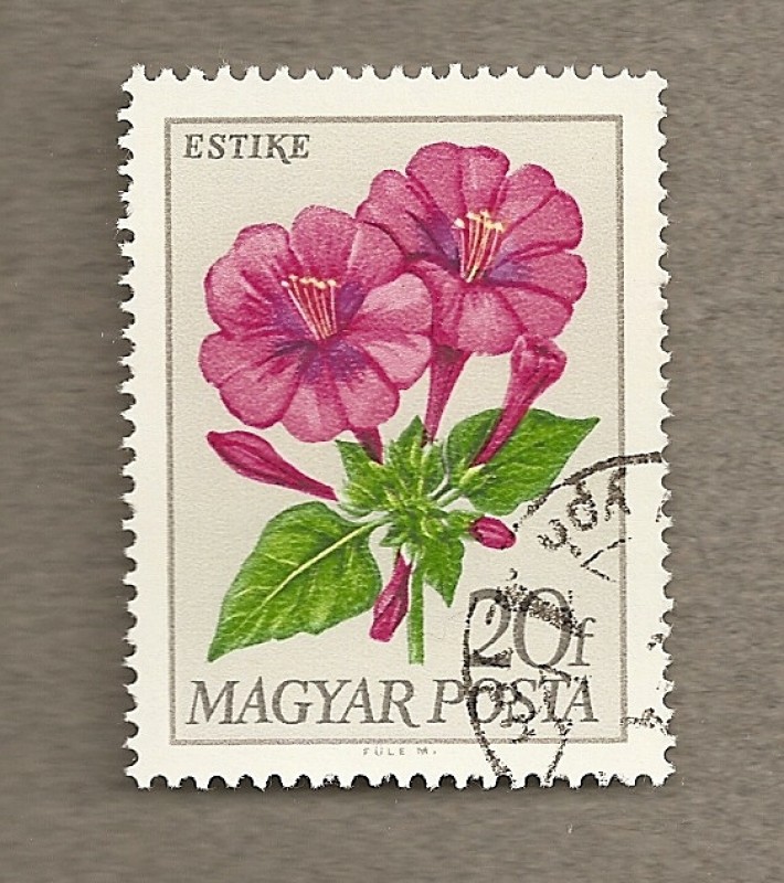 flor rosa