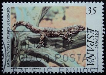 Lagarto gigante de El Hierro