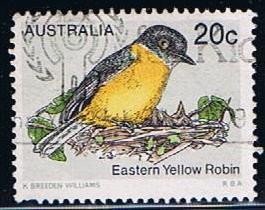 Easten yellow Robin