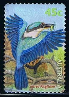 Socred Kingfisher