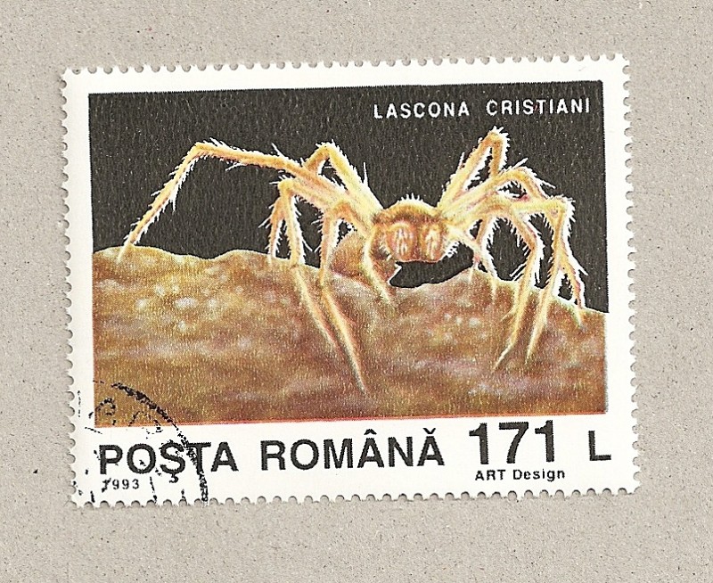 Lascona cristiani