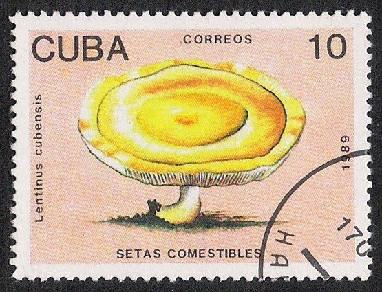 SETAS-HONGOS: 1.134.014,01-Lentinus cubensis -Phil.41722-Dm.989.8-Y&T.2910-Mch.3260-Sc.3097