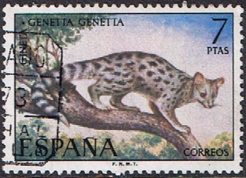 FAUNA HISPÁNICA