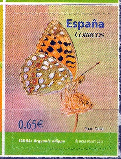 Mariposas. Argynnis adippe.