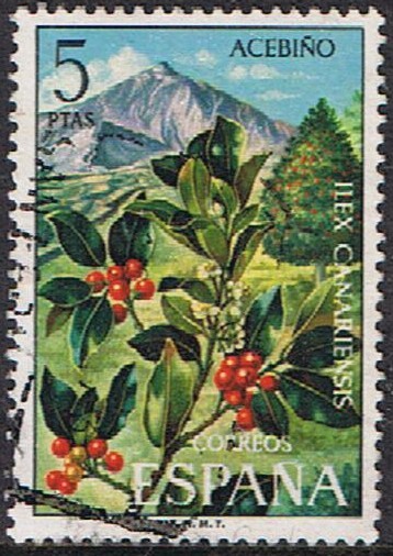 FLORA 1973