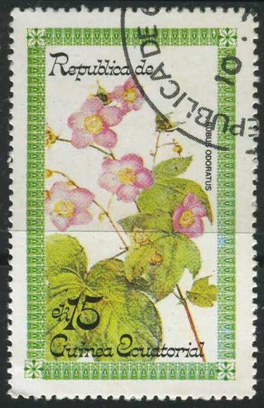 Flores - Rubus odoratus