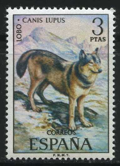 E2104 - Fauna hispánica