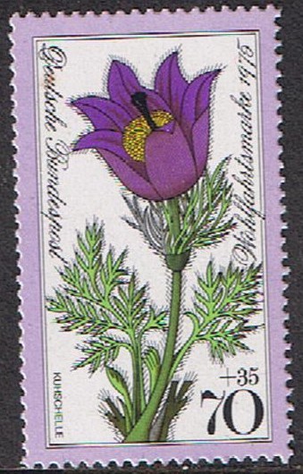 FLORA DE LOS ALPES. PULSATILLA