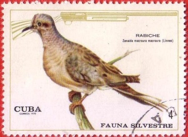 Fauna Silvestre