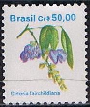 Clioria Fazchildiana