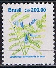 Jacacada mimosifolia